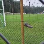 Provinciaal voetbal - 4de provinciale A Limburg - K. Velm VV - Patrick Van Hool bergt alles op