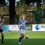 Nederlandse versterking voor
