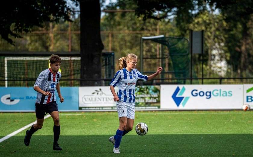 Nederlandse versterking voor