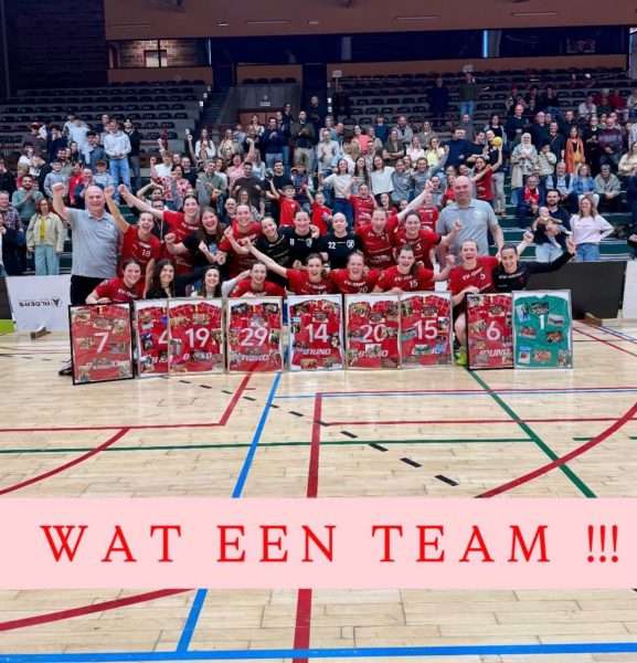 Nationaal handbal - dameshandbal - 2de nationale - Sporting Pelt - Geen promotie