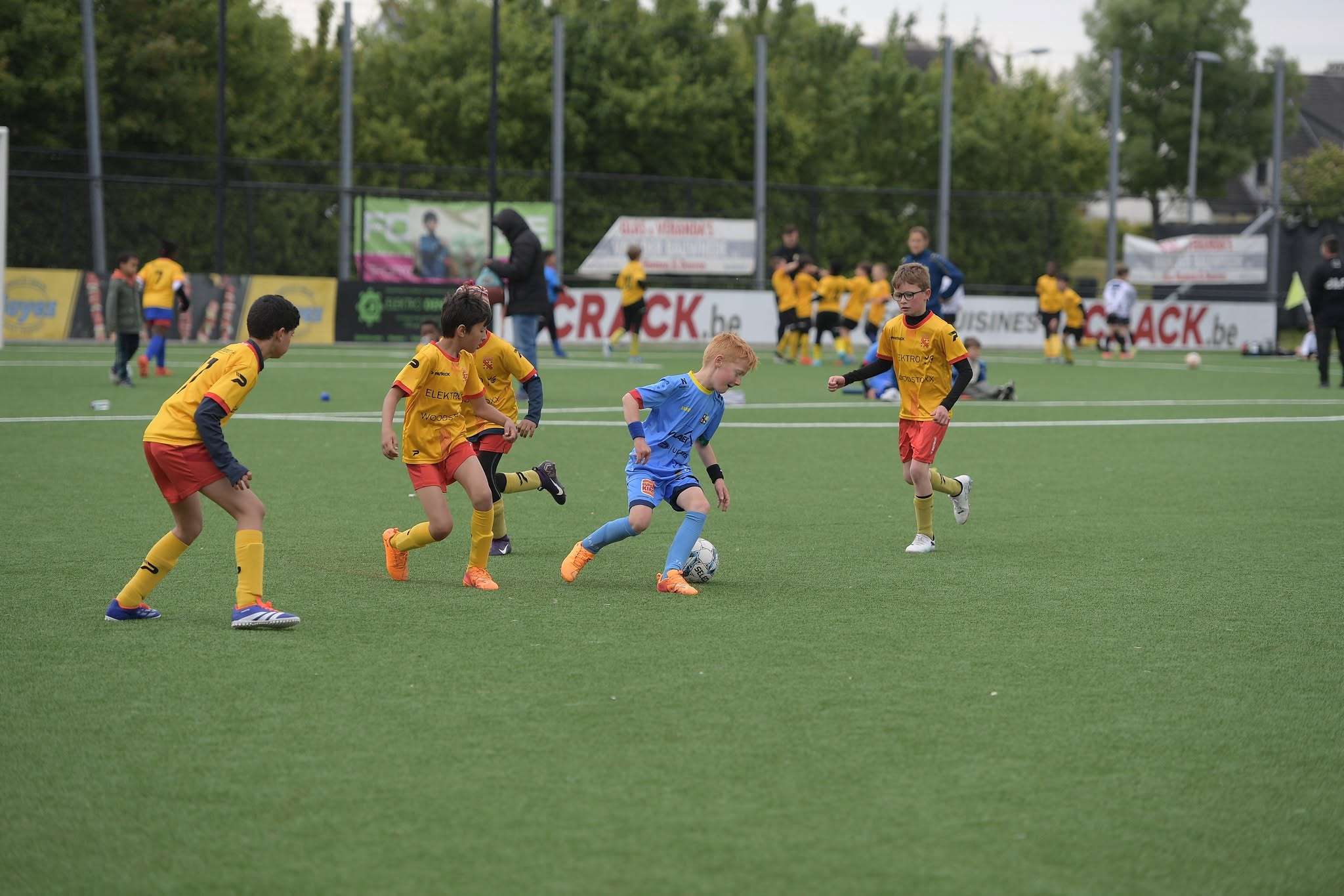 Provinciaal voetbal - 1ste provinciale West-Vlaanderen - Eendracht Wervik treedt in 1P West-Vlaanderen aan