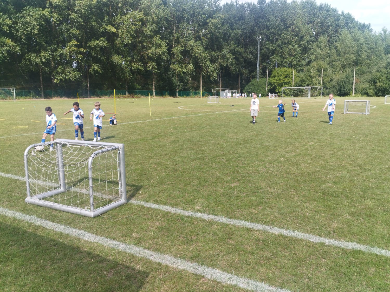 Nationaal voetbal - 2de Nationale B - KSK Tongeren - Bert Theunissen - Geslaagde en leuke familiedag voor KSK Tongeren